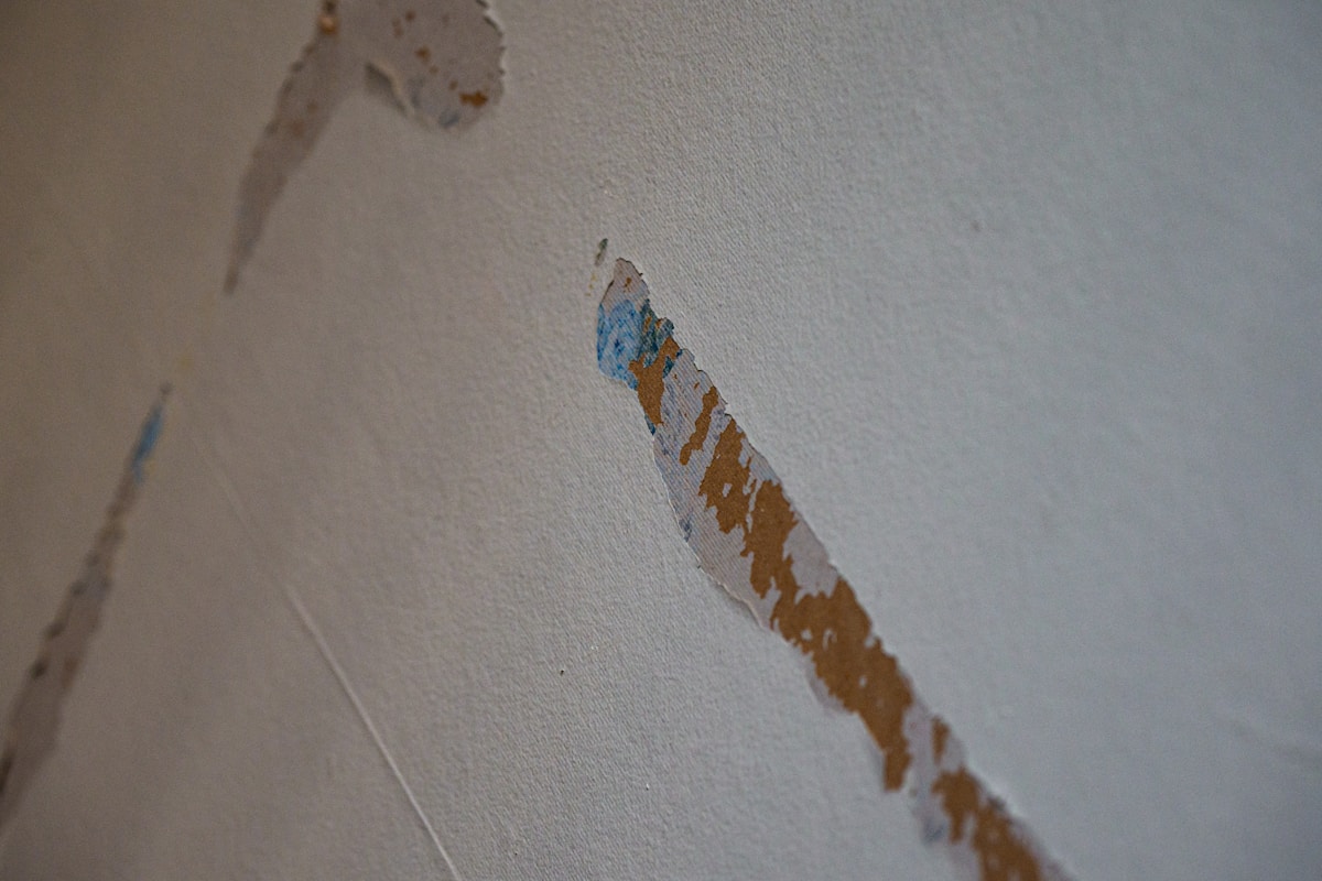 Water Extraction service in Olathe, KS